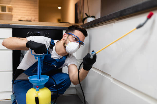 Best Flea Control Services  in Crystal, MN