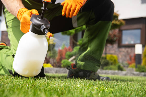 Best Pest Removal Services  in Crystal, MN