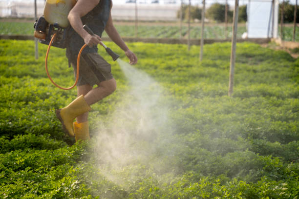 Best Ant Control Services  in Crystal, MN