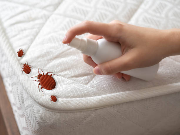 Best Pest Removal Services  in Crystal, MN