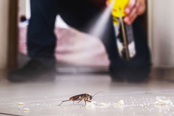 Best Affordable Pest Control Services  in Crystal, MN