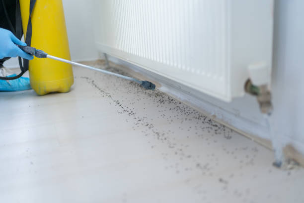 Professional Pest Control in Crystal, MN
