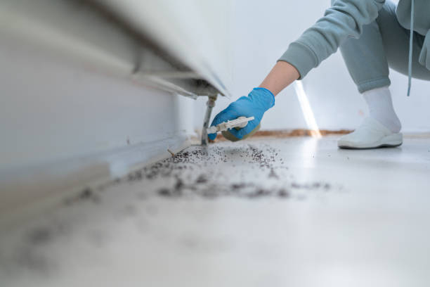 Best Rodent Control Near Me  in Crystal, MN