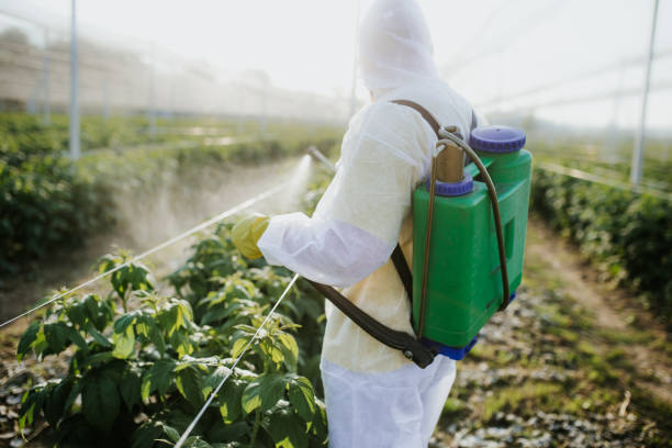 Best Pest Prevention Services  in Crystal, MN
